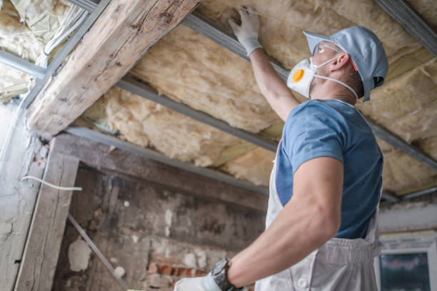 Best Cellulose Insulation in Austin, AR